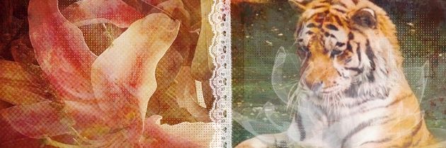 Tigre Lírico! 🪷 Cartomante banner