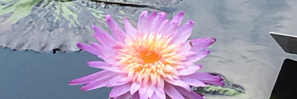 kbfoster's profile banner image