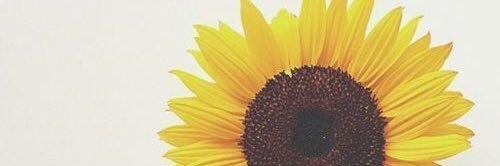 walkaahh's profile banner image