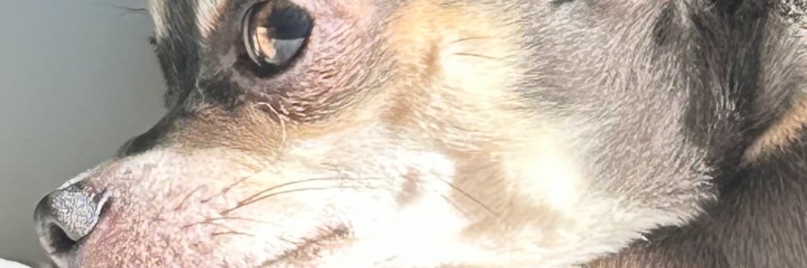 PhernandaR1's profile banner image