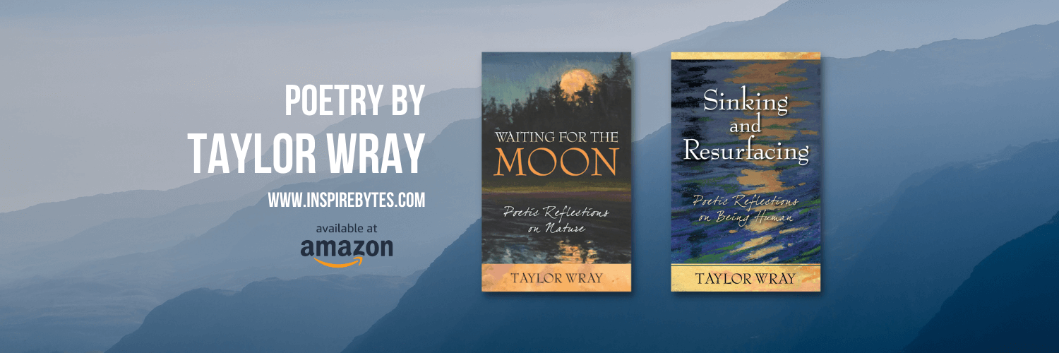 Taylor Wray banner