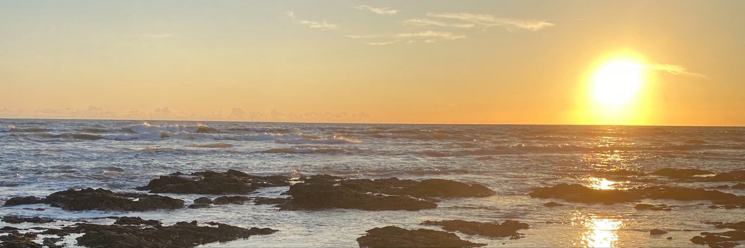 snwosaint's profile banner image