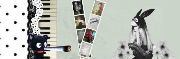 𝗯𝗲𝗲 ꕤ｡˚⋆ᵖᵉᵗᵃˡ ⋆ꕤ⋆.˚ banner