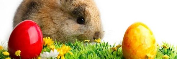 M_ama Profile Banner