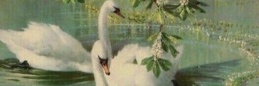 ঞᑲᥱrrіzzᥲ ིྀ banner