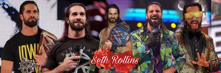 Not Seth Rollins (Parody) banner