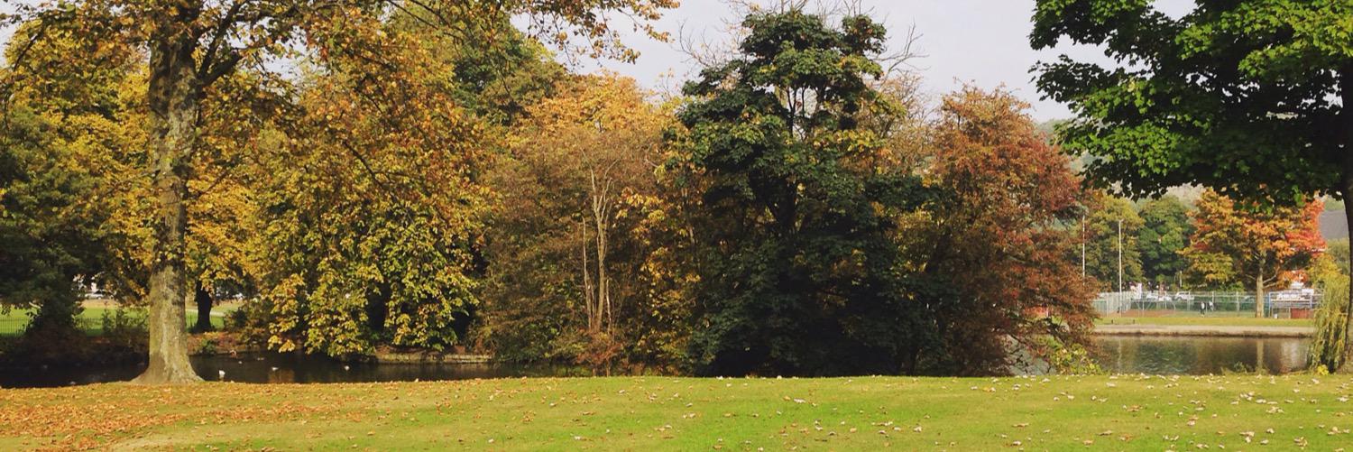 JenniferStrand's profile banner image