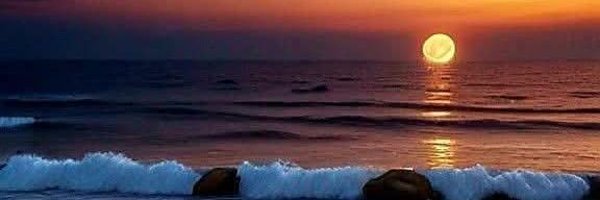 muttakican571 Profile Banner