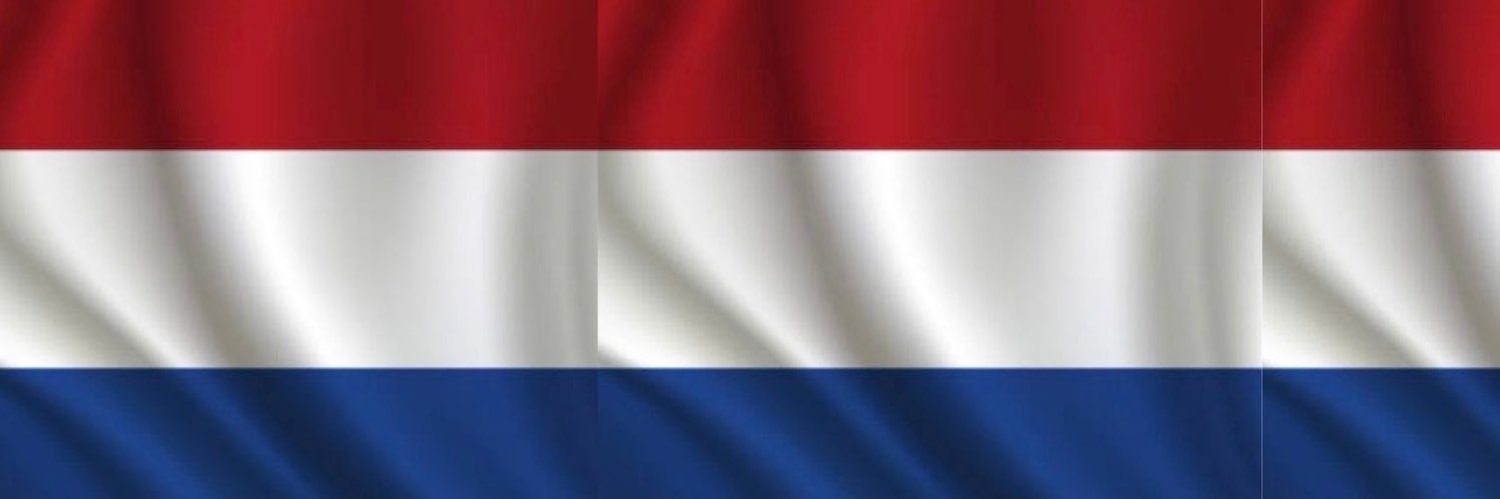NL_F1Simracing's profile banner image