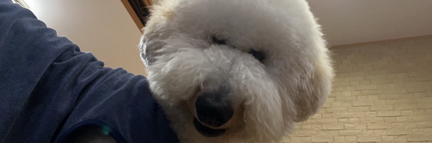 chappichan2's profile banner image