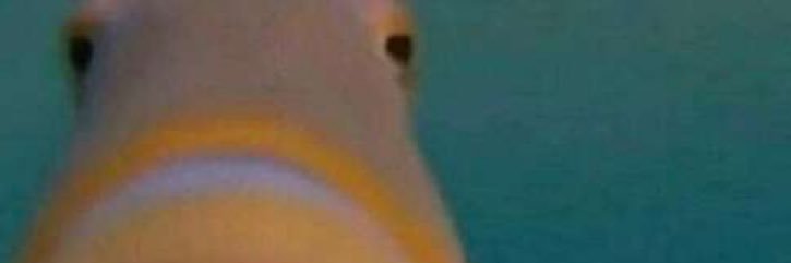 loch249's profile banner image