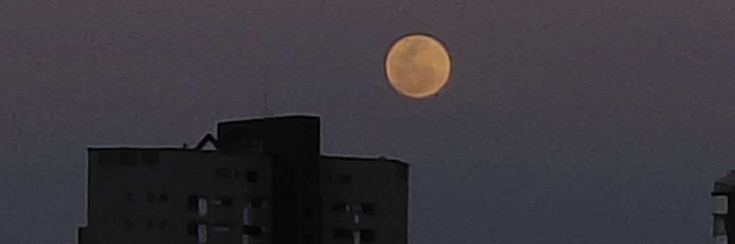 la_petite_mort's profile banner image