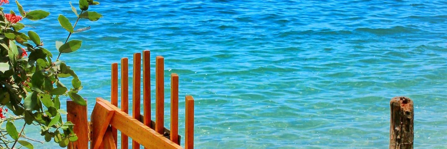 pineapplesweet7's profile banner image