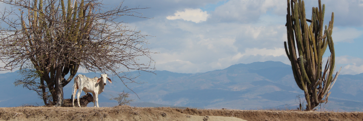 marcfalces's profile banner image