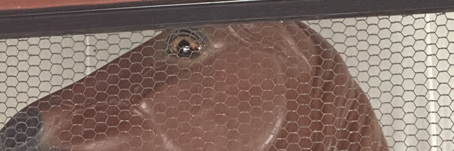 仙人（上を向いて歩こう） banner