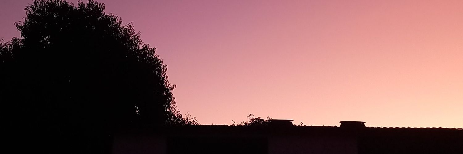 babignunes's profile banner image