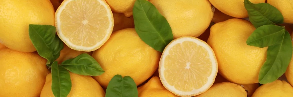 lemon mint organic banner