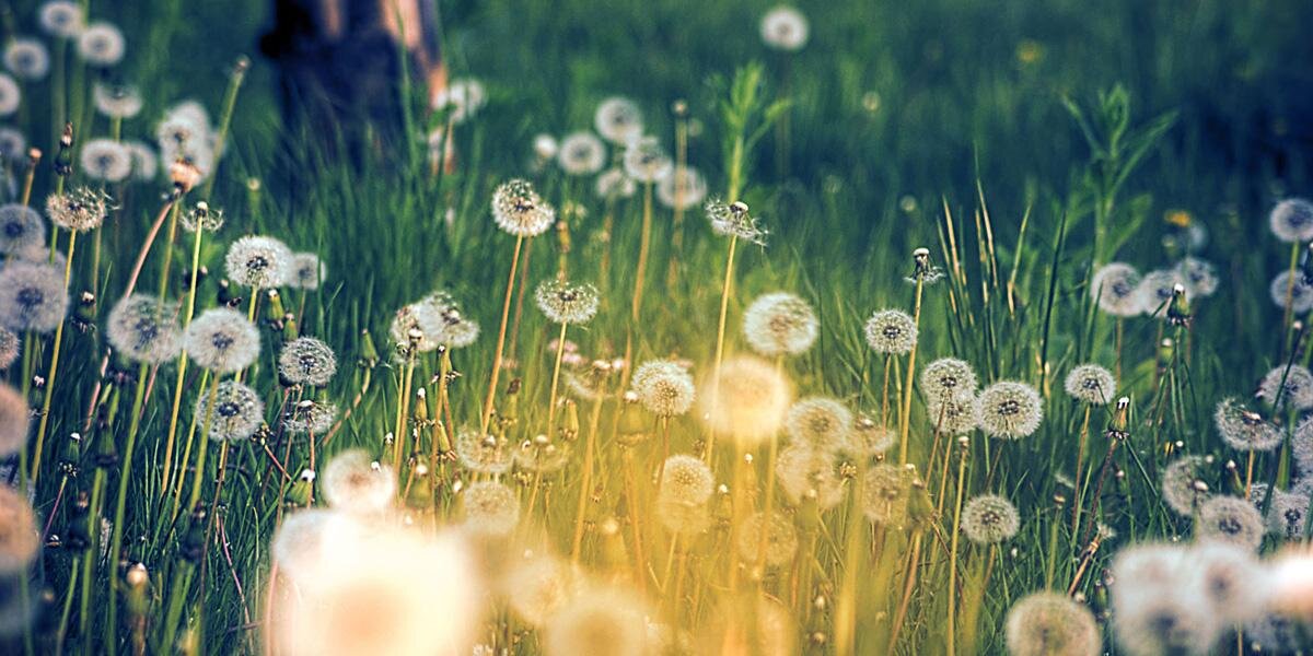 TheMichMonster's profile banner image