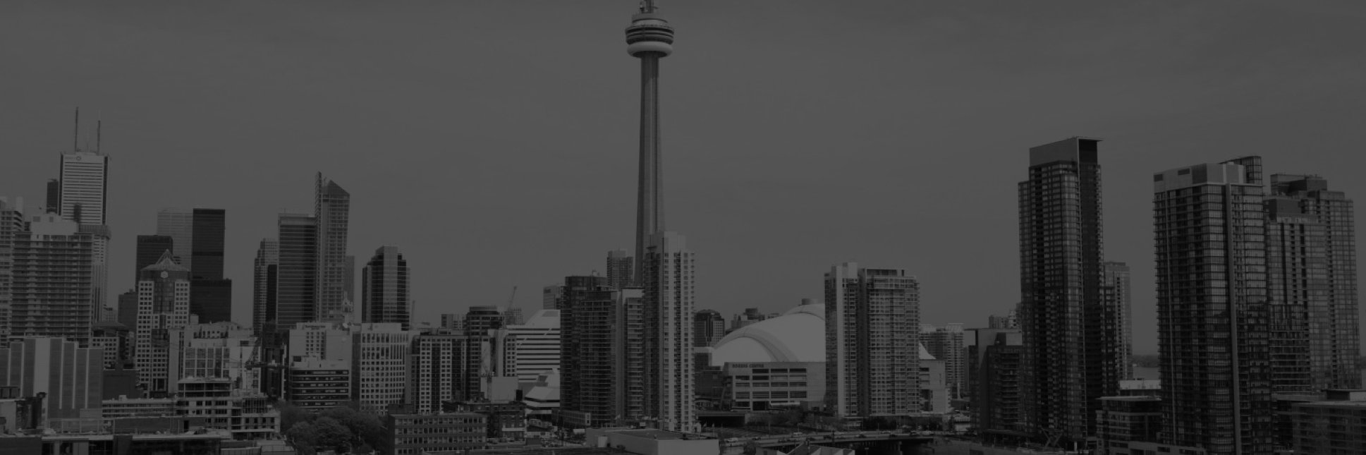 dnippard's profile banner image