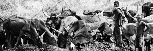 Tibalism Profile Banner