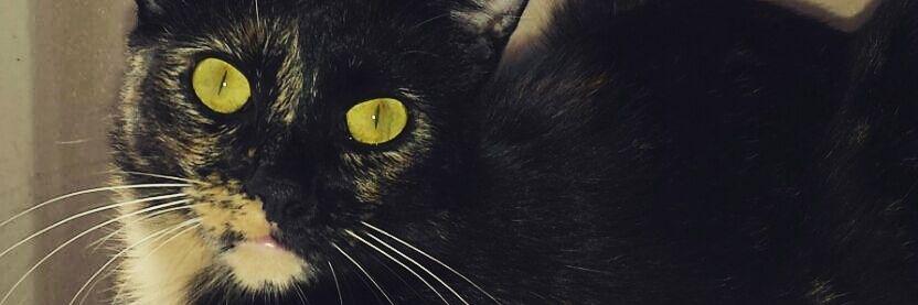 mydebralive's profile banner image
