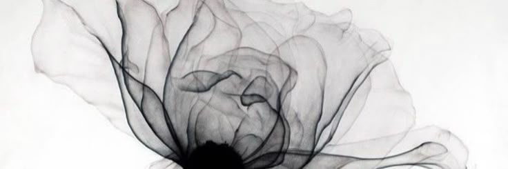 rhiana banner
