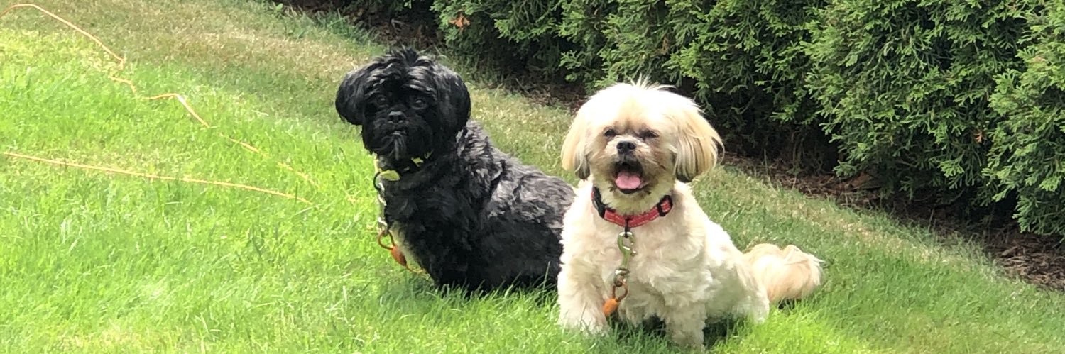 murphybaxter's profile banner image