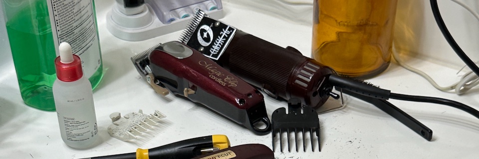 Shane Shaves banner
