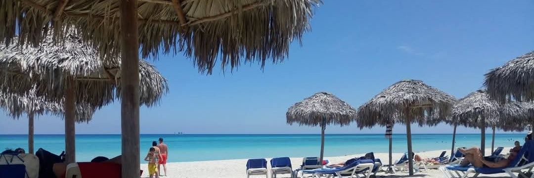 Natu_🧚‍♀️👋 banner