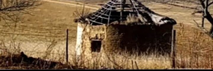 NtoanetTilo's profile banner image