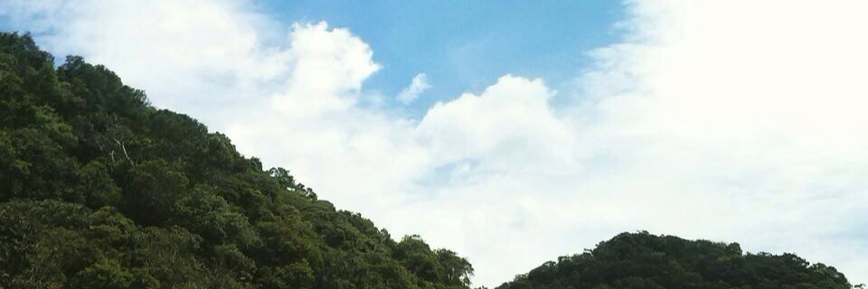 gutoffline's profile banner image