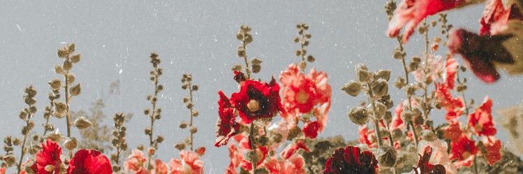 AzulLamberghini's profile banner image