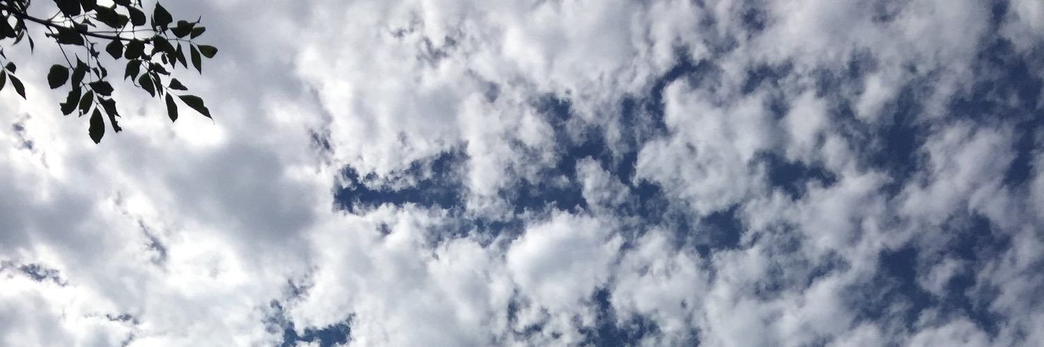 tjasmins's profile banner image