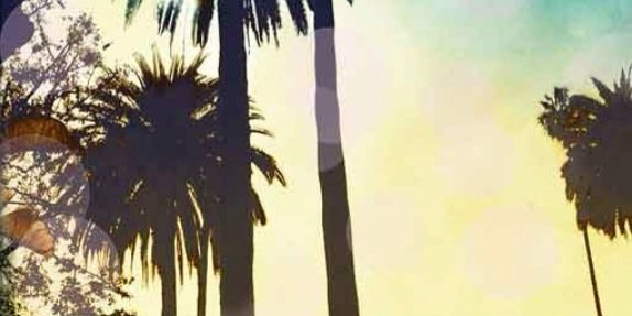 QuiJohnson's profile banner image