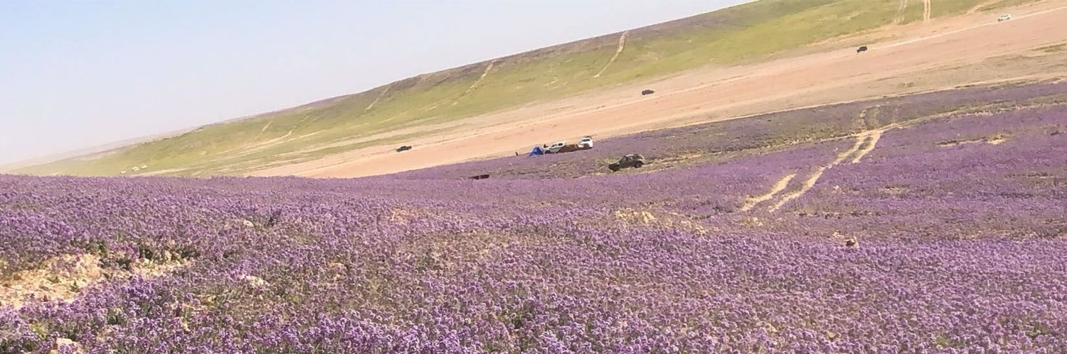 عارف العنزي banner