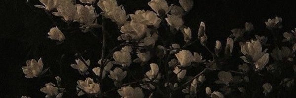 hellyspencap Profile Banner