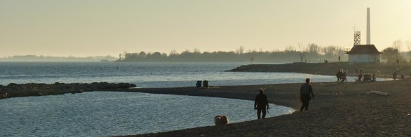 camillegrisroy Profile Banner