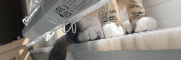 SheGotNoThumbs Profile Banner