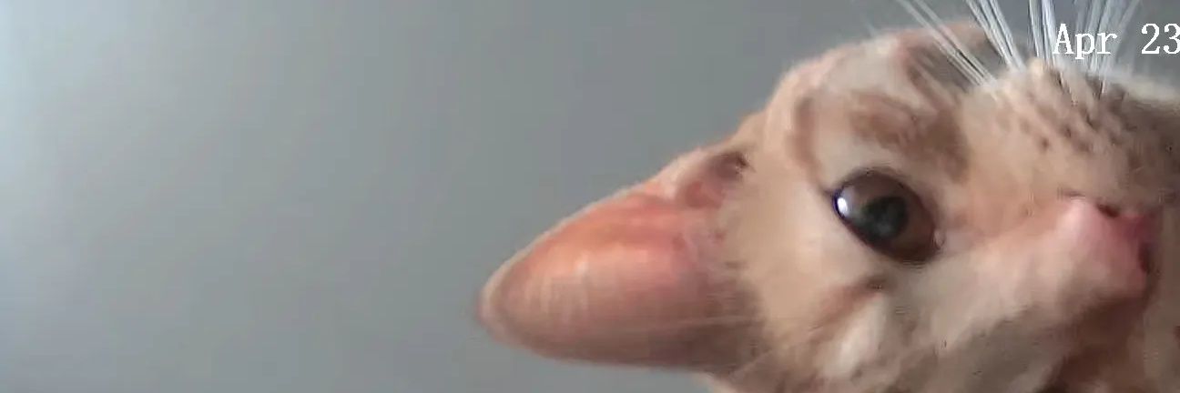 flipper3964's profile banner image