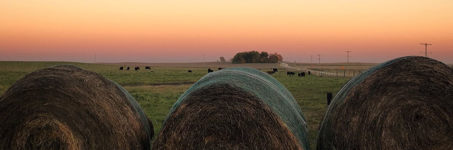 ecassabaum's profile banner image