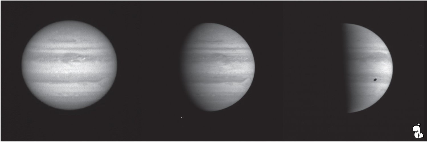 Dr. L. C. Mayorga banner