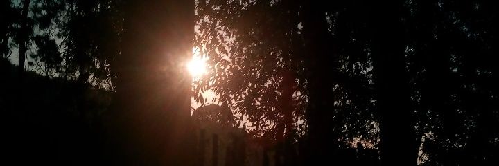 jeess____'s profile banner image