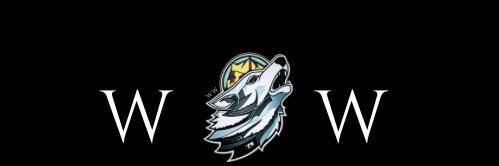 The_Wealth_Coin's profile banner image