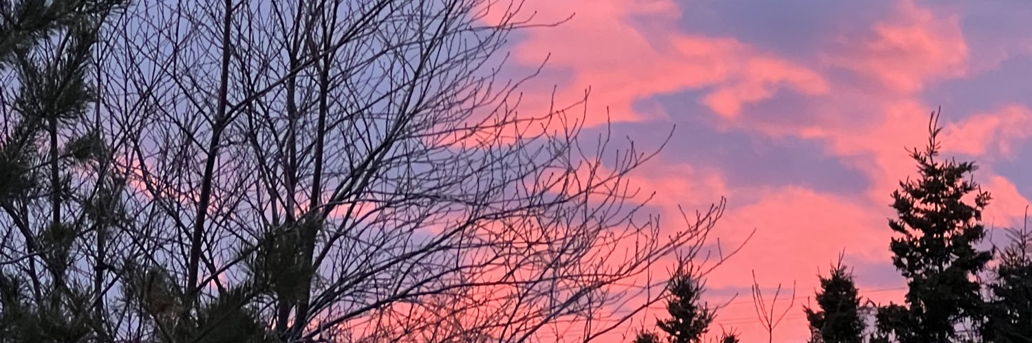AlisonCoffin's profile banner image