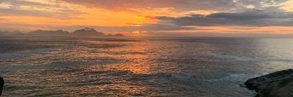 julia freitas banner