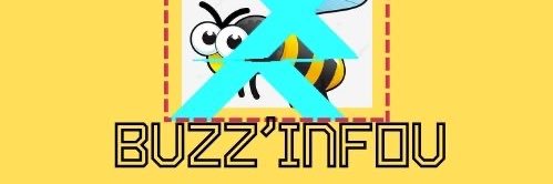 BUZZinfou 🐝 banner