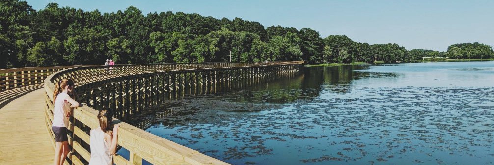 Principal Rollins banner