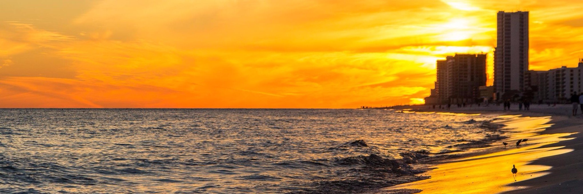 MiamiHeatHomes's profile banner image