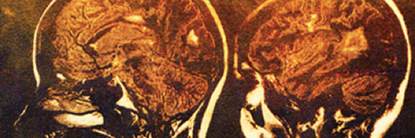 IPALab Profile Banner