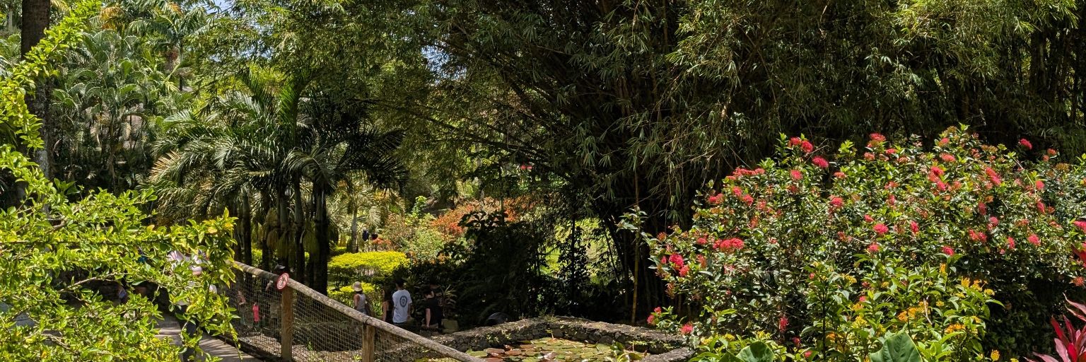 laurieodnt's profile banner image